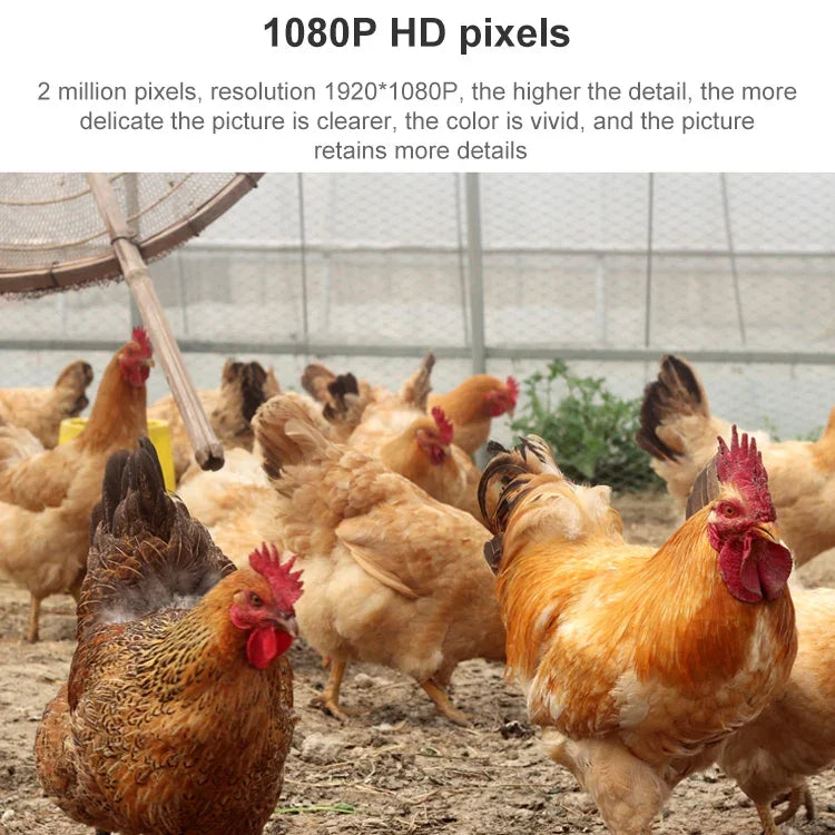 QX5 Camera thông minh WiFi dome không dây 2.0 triệu điểm ảnh 1080P HD zoom 20X, Hỗ trợ hồng ngoại ban đêm / Phát hiện chuyển động / Đàm thoại hai chiều / Thẻ TF, Phích cắm AU, Phiên bản WiFi