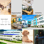Camera thông minh đèn sân vườn DP16 2.0 Megapixel 42 đèn LED, Hỗ trợ phát hiện chuyển động / nhìn ban đêm / đàm thoại / thẻ TF, Phích cắm AU, DP16