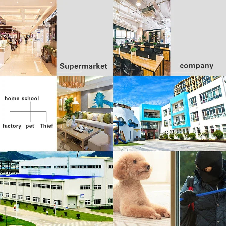 Camera thông minh đèn sân vườn DP16 2.0 Megapixel 42 đèn LED, Hỗ trợ phát hiện chuyển động / nhìn ban đêm / đàm thoại / thẻ TF, Phích cắm AU, DP16