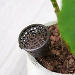 10 bộ dụng cụ bonsai sản phẩm làm vườn hộp phân bón bonsai có nắp, kích thước nhỏ: 4 x 3cm, kích thước nhỏ: 4 x 3cm