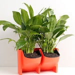 PP Planter Flower Pot Wall Hanging Garden Hanging Stackable Garden Supplies