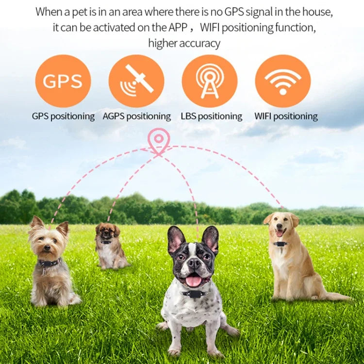 P03 Định vị GPS 2G chống nước cho thú cưng GPS+AGPS+WiFi+LBS, P03