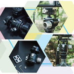 Đầu Bi Toàn Cảnh FITTEST X4 Trọng Tâm Thấp Lực Khóa Cao Kèm Đế Nhả Nhanh Cho Máy Ảnh DSLR & Kỹ Thuật Số, Tải Tối Đa 10kg, YT040 X4