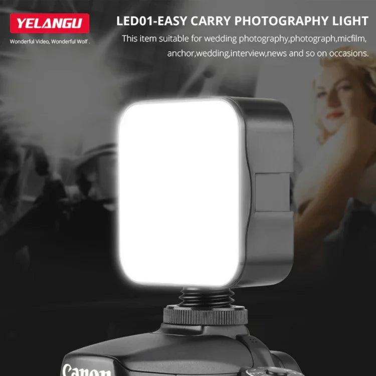 Đèn video YELANGU LED01 49 đèn LED cho máy ảnh / máy quay video, Đèn video