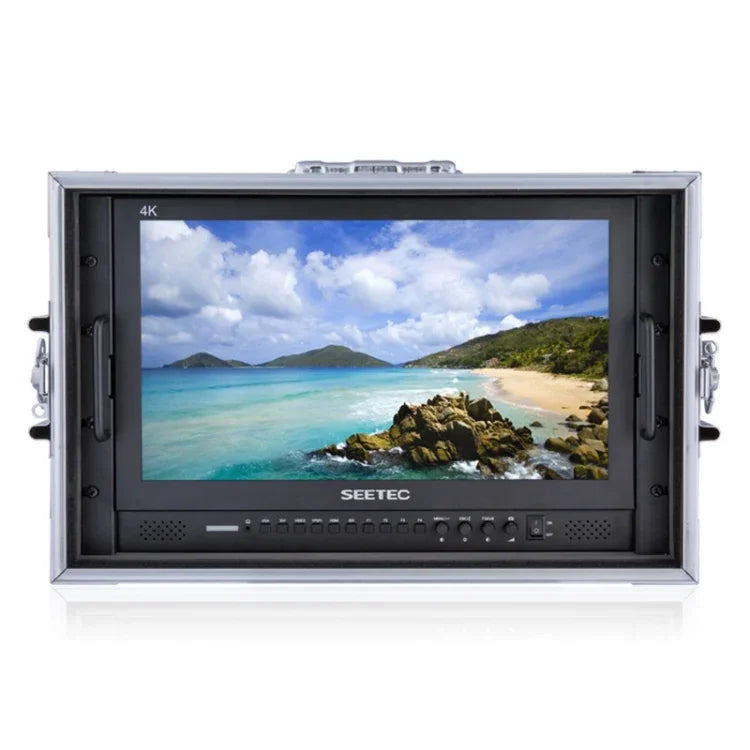 Màn hình trường quay chuyên nghiệp SEETEC P173-9HSD-CO 17.3 inch 1920x1080 SDI / HDMI 4K cấp phát sóng, P173-9HSD-CO