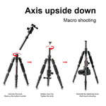 TRIOPO T259G+Q2 Adjustable Portable Carbon Fiber Tripod with Q-2 Ball Head for SLR Camera, T259G+Q2