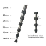 Gậy đơn DSLR du lịch ngoài trời BEXIN P306C bằng sợi carbon, P306C
