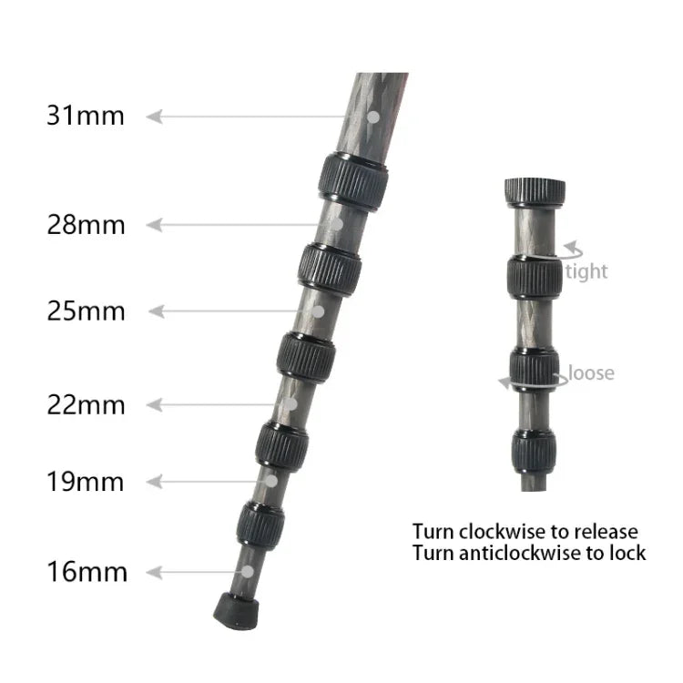 Gậy đơn DSLR du lịch ngoài trời BEXIN P306C bằng sợi carbon, P306C