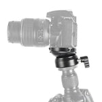 Chân Máy Chuyên Nghiệp BEXIN DY-60N 3/8 inch Ren Vòm Cân Bằng Đầu Toàn Cảnh 360 Độ Có Thước Thủy & Bộ Chuyển Đổi Vít 3/8 inch, DY-60N 3/8 inch