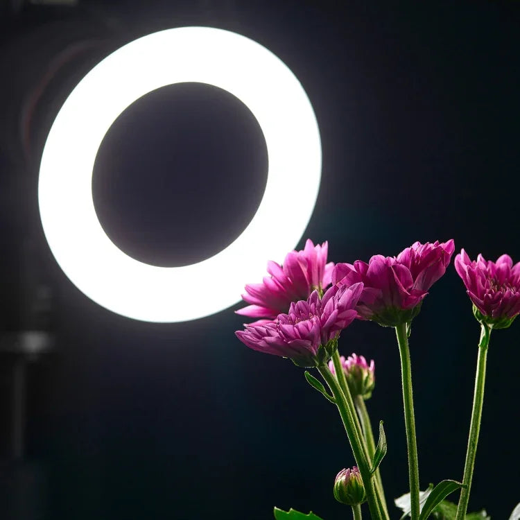 Đèn Flash Macro Vòng Godox Ring72 48 LED với 8 Vòng Chuyển Đổi Kích Thước Khác Nhau, Ring72