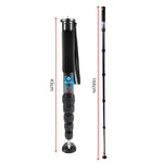 Chân máy đơn sợi carbon BEXIN P336C cho máy ảnh, giá đỡ selfie du lịch trực tiếp, P336C