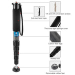 Chân máy đơn sợi carbon BEXIN P336C cho máy ảnh, giá đỡ selfie du lịch trực tiếp, P336C