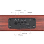 Loa Bluetooth cầm tay gỗ D10 4.2, D10 (vân gỗ đỏ)