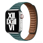 Dây đồng hồ thay thế từ tính Slimming Loop cho Apple Watch Series, 7 41mm / 6&SE&5&4 40mm / 3&2&1 38mm, 7 45mm / 6&SE&5&4 44mm / 3&2&1 42mm