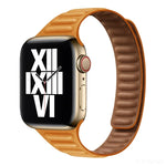 Dây đồng hồ thay thế từ tính Slimming Loop cho Apple Watch Series, 7 41mm / 6&SE&5&4 40mm / 3&2&1 38mm, 7 45mm / 6&SE&5&4 44mm / 3&2&1 42mm