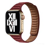 Dây đồng hồ thay thế từ tính Slimming Loop cho Apple Watch Series, 7 41mm / 6&SE&5&4 40mm / 3&2&1 38mm, 7 45mm / 6&SE&5&4 44mm / 3&2&1 42mm