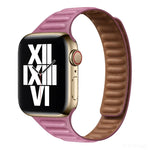Dây đồng hồ thay thế từ tính Slimming Loop cho Apple Watch Series, 7 41mm / 6&SE&5&4 40mm / 3&2&1 38mm, 7 45mm / 6&SE&5&4 44mm / 3&2&1 42mm