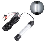 Đèn câu cá LED dưới nước phát sáng, đèn mồi, AC/DC 12-24V