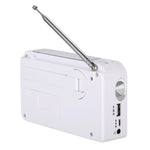Đèn pin radio AM/FM năng lượng mặt trời hai băng tần RD-638T với chức năng Dynamo