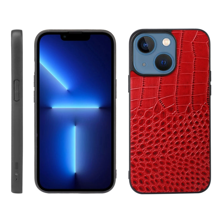 Ảnh thay thế