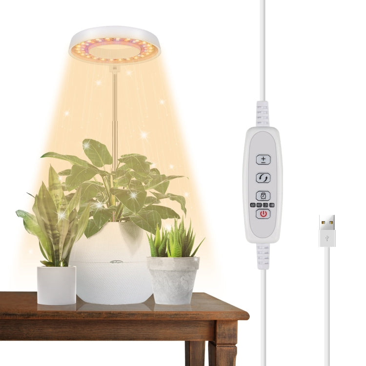Đèn chiếu sáng bổ sung cho cây mọng nước 10W 48 đèn LED, vòng thiên thần, ong, ống tròn