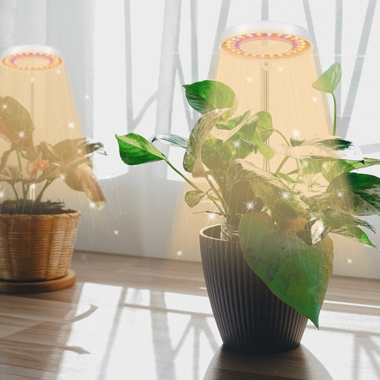 Đèn chiếu sáng bổ sung cho cây mọng nước 10W 48 đèn LED, vòng thiên thần, ong, ống tròn