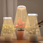 Đèn chiếu sáng bổ sung cho cây mọng nước 10W 48 đèn LED, vòng thiên thần, ong, ống tròn
