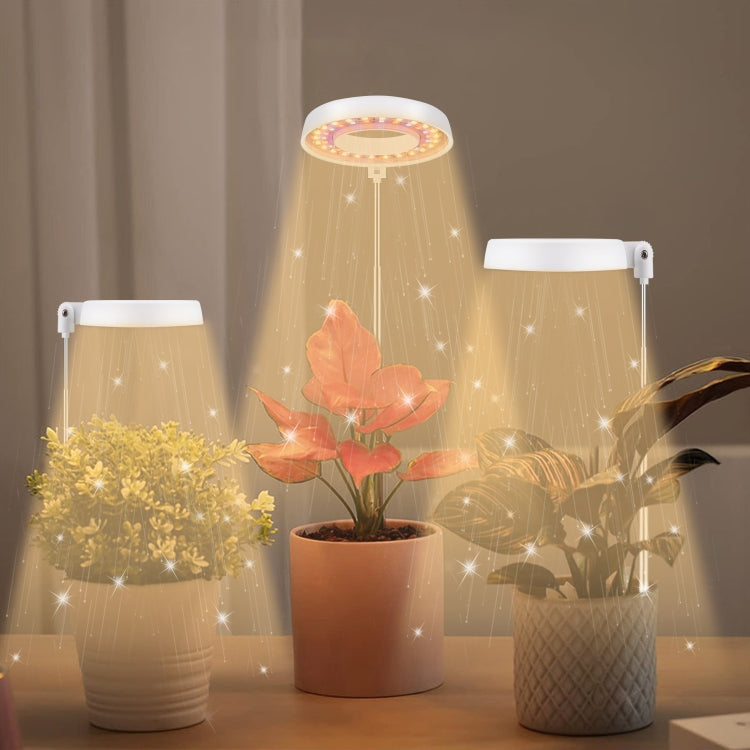 Đèn chiếu sáng bổ sung cho cây mọng nước 10W 48 đèn LED, vòng thiên thần, ong, ống tròn