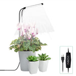 Đèn chiếu sáng bổ sung cho cây mọng nước 10W 48 đèn LED, vòng thiên thần, ong, ống tròn