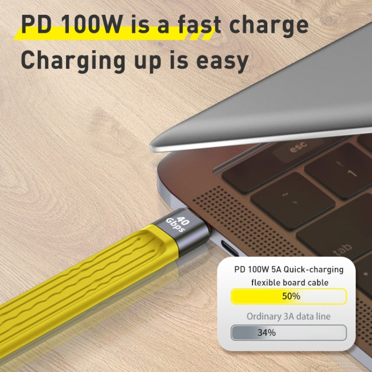 Cáp dữ liệu mềm USB-C/Type-C sang USB-C/Type-C 100W 10Gbps FPC, dài 13.8cm, USB-C/Type-C 10Gbps sang USB-C/Type-C