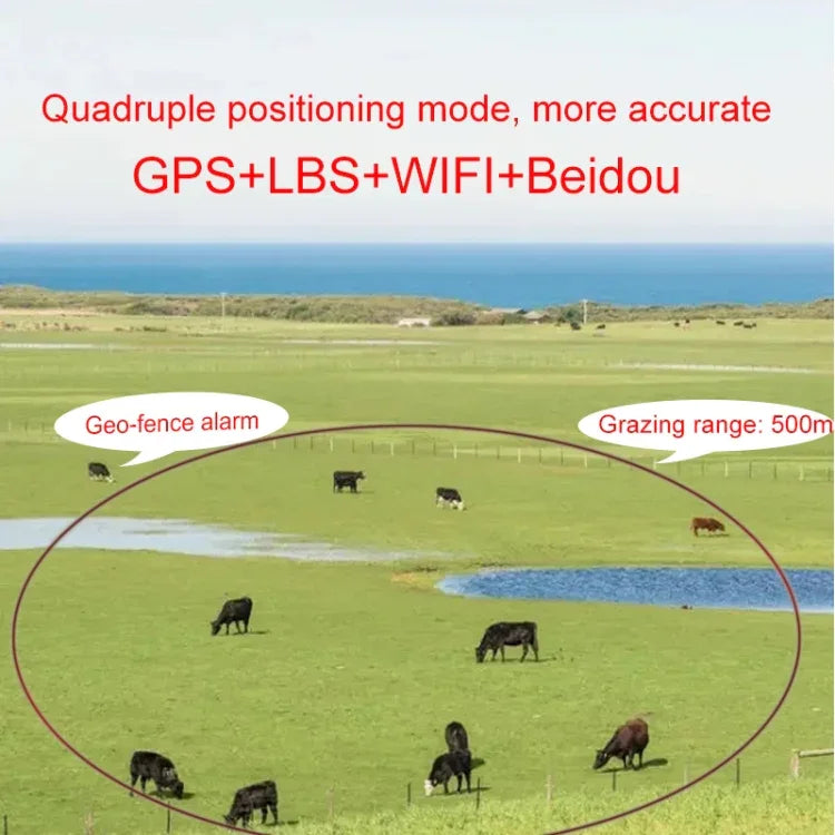 RF-V24 Bộ Định Vị GPS Năng Lượng Mặt Trời 4G Cho Gia Súc, Có Bộ Nhớ 2G, Có Bộ Nhớ 4G