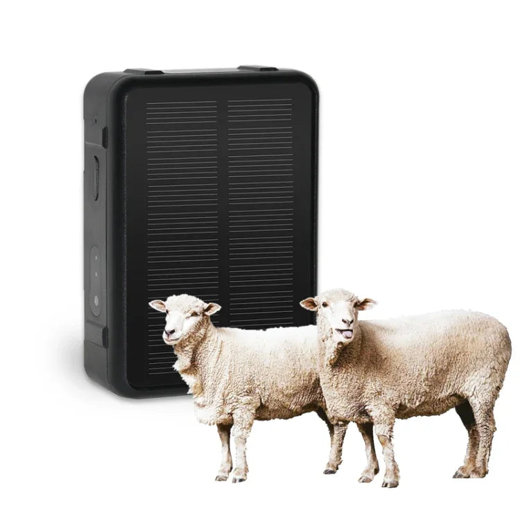 Thiết bị định vị GPS chống nước năng lượng mặt trời cho gia súc V44, Thiết bị định vị GPS V44