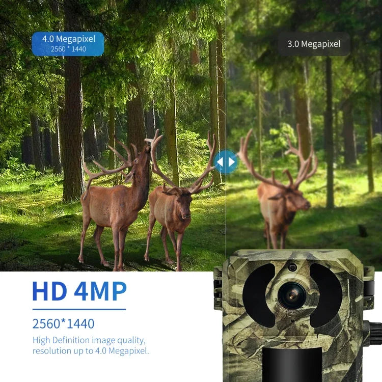 Camera săn bắn động vật hoang dã thông minh ESCAM QF380 4MP mạng năng lượng mặt trời PIR cảnh báo, phiên bản EU, phiên bản AU, phiên bản US
