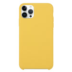 Solid Silicone Phone Case, For iPhone 16 Pro Max, For iPhone 16 Pro, For iPhone 16 Plus