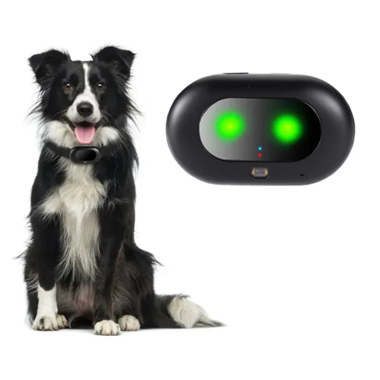 waterproof GPS pet tracker displayed with a dog and tracker device, showcasing anti-loss features and LED lights.