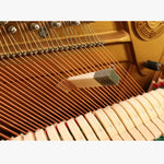 Bộ Cờ Lê Lên Dây Đàn Piano 10 trong 1, 10 trong 1