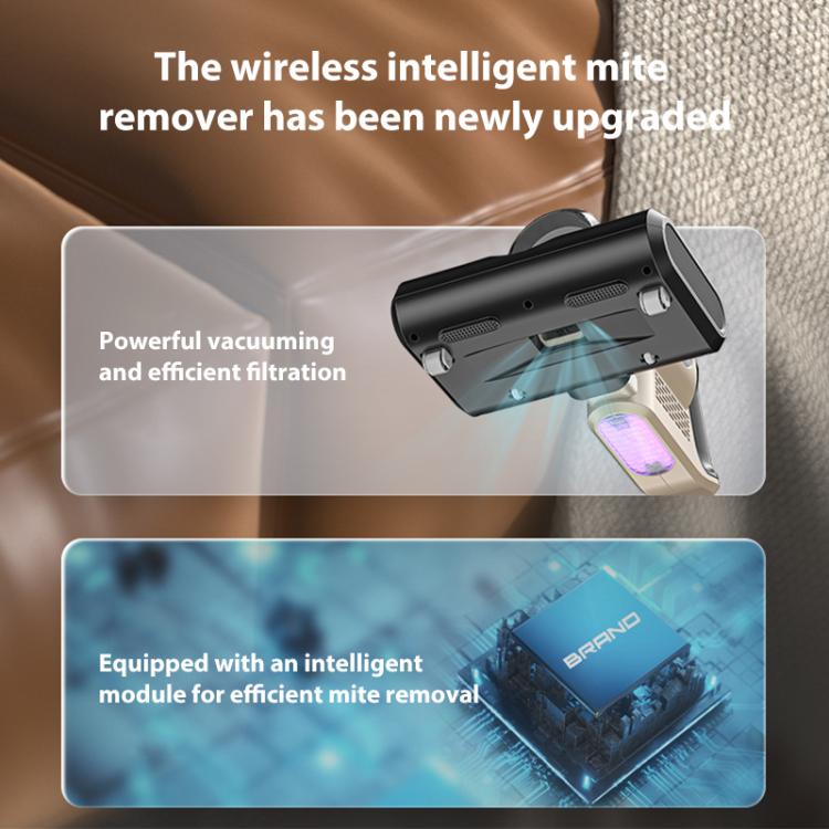 Ảnh thay thế
