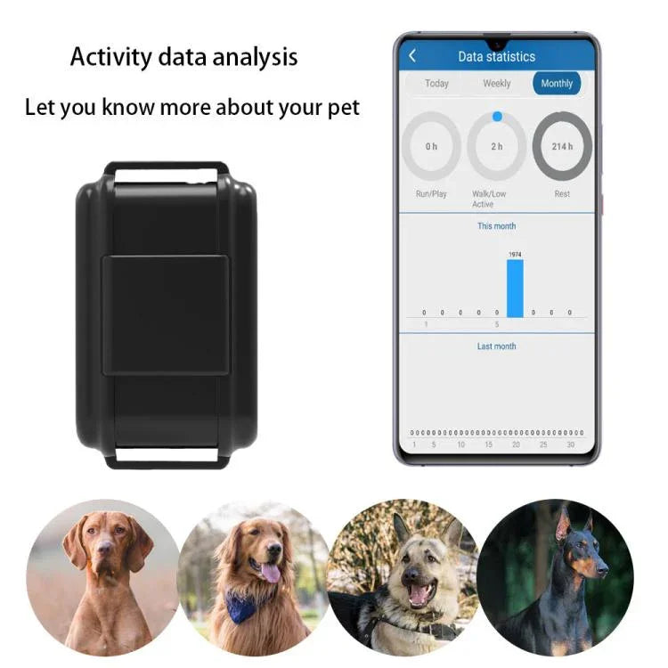 TK919 Vòng Cổ Chó GPS 4G Chống Nước IP67