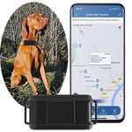 TK919 Vòng Cổ Chó GPS 4G Chống Nước IP67