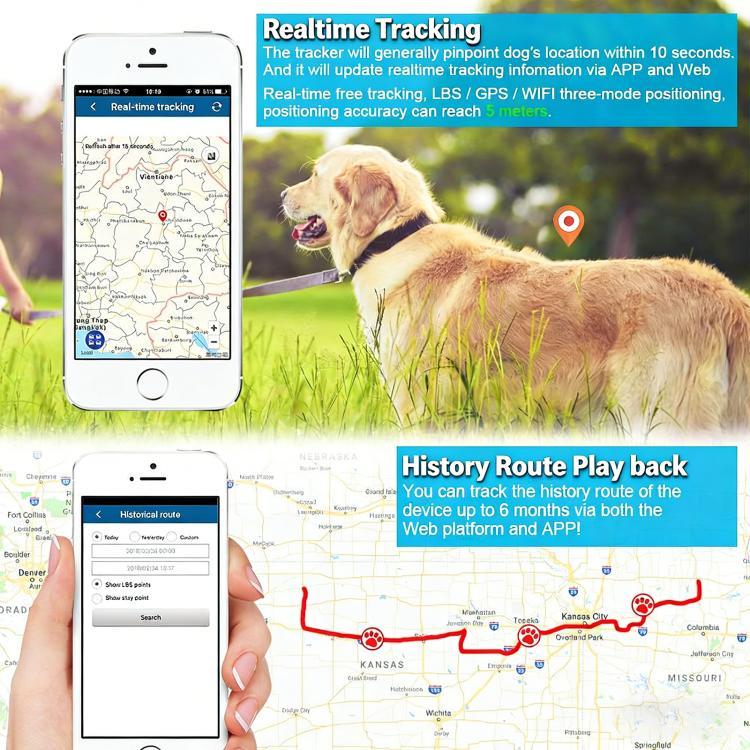 TK919 Vòng Cổ Chó GPS 4G Chống Nước IP67