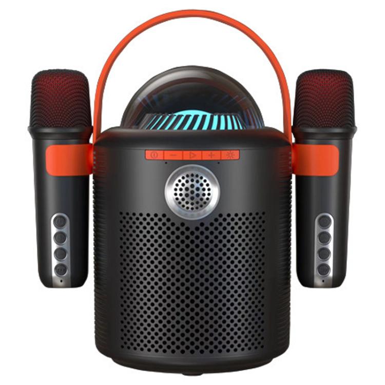 Loa Bluetooth karaoke không dây di động ngoài trời Lebo Y11 với micro đôi