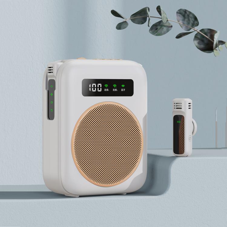 Máy khuếch đại giọng nói dạy học micro không dây mini M10 có màn hình hiển thị