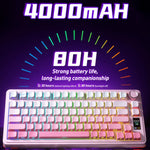 Bàn phím cơ tùy chỉnh gradient ba chế độ AULA S75 Pro 80 phím có dây/2.4G/Bluetooth
