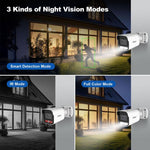 Bộ đầu ghi video mạng camera POE 4 kênh HD 3MP SriHome NVS005-POE065, 3MP 4 kênh