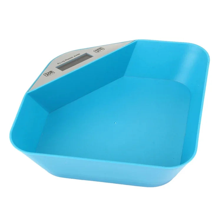 نص بديل للصورة