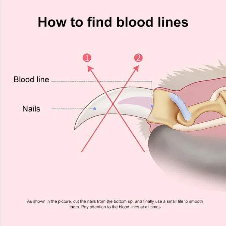 Bộ kềm cắt và đánh bóng móng thú cưng, Kích thước: Nhỏ, Nhỏ màu hồng