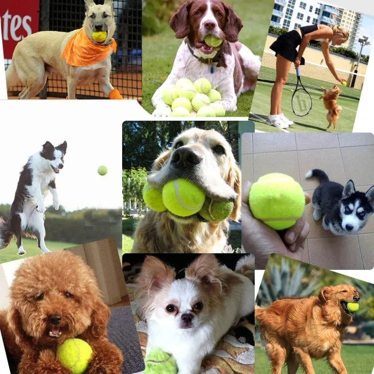 Đồ chơi huấn luyện chó, Bộ phóng bóng tennis điều khiển từ xa, Kích thước: 52*19*9cm, Bộ phóng bóng tennis