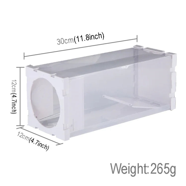 Lồng bẫy động vật sống nhân đạo cho cửa, bẫy chuột, bẫy các loài gặm nhấm nhỏ khác, chất liệu PP trong suốt, lồng bẫy động vật sống nhân đạo cho cửa