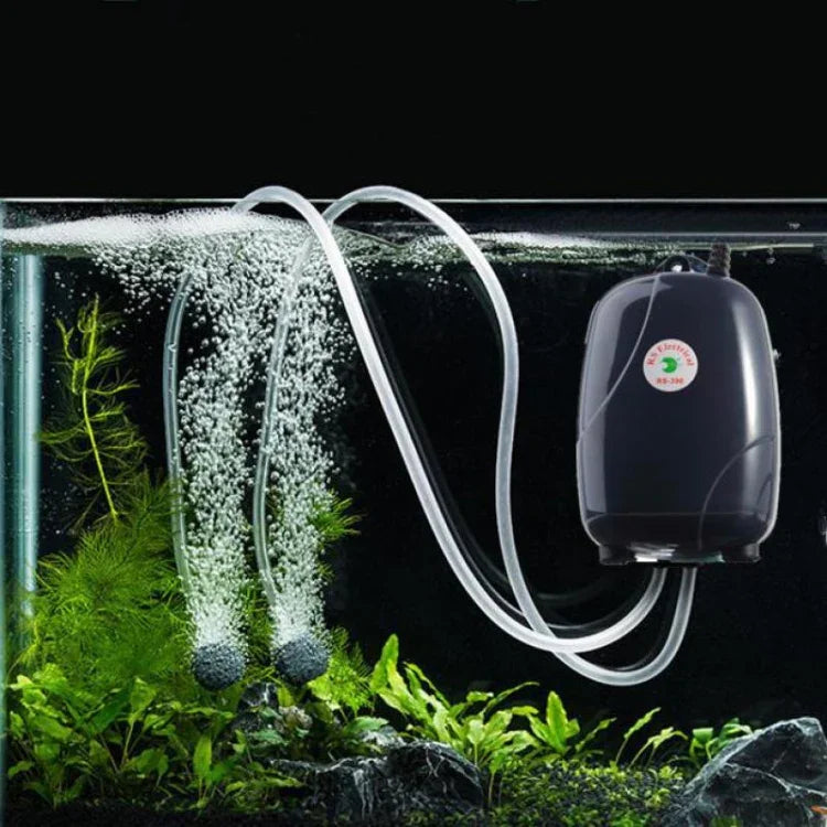 Bơm khí bể cá RS-390 220V 5W hai đầu ra, điều chỉnh lưu lượng, bơm khí yên tĩnh, bơm oxy bể cá, 5W
