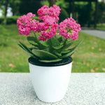 Chậu hoa tự động hút nước Lazy Flower Pots trồng cây thủy canh, chậu hoa nhựa resin hình tròn thiết kế hai lớp, đường kính: 15cm, chiều cao: 15.5cm